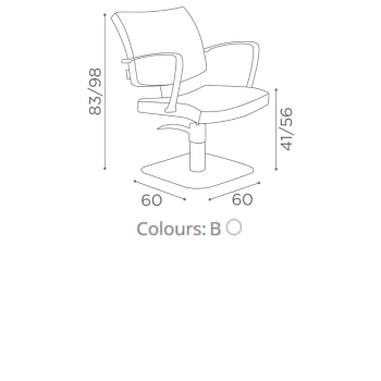 Salon Ambience Hairdressing Chair Hannah SA Star Base