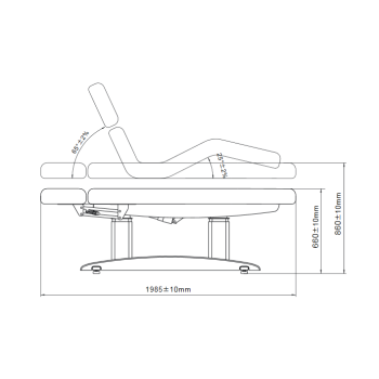 Silverfox Wellness Lounger 2259 E-4 SF A dark wood without heater