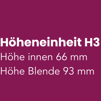 H3